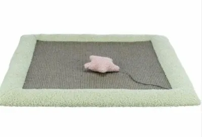 Image de Trixie Kitten Tapis à gratter vert menthe