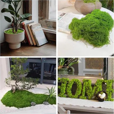 Produktbild von Kunstmoos 200g für Fotos, grün und braun