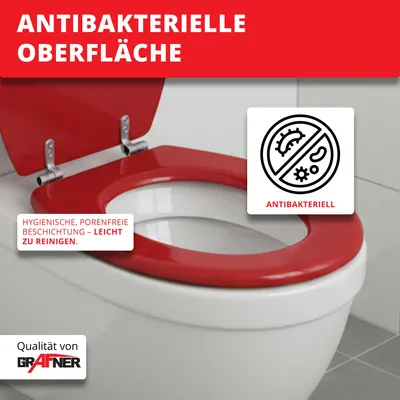 Produktbild von Grafner WC-Sitz mit Absenkautomatik in verschiedenen Designs : Colored Planks Farbe: Colored Planks