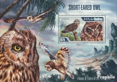 Produktbild von Briefmarken Malediven 2013 Mi Block 652 (kompl. Ausg.) postfrisch Eule