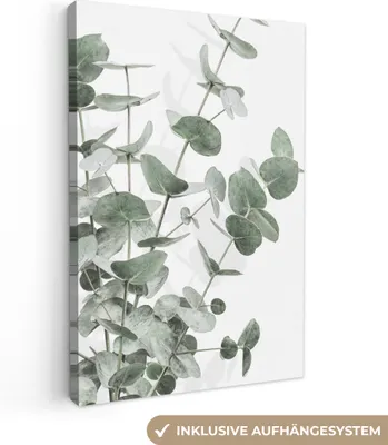 Obrázok produktu pre MuchoWow® - Plátno - Eukalyptus - Listy - Príroda - Zelená, nástenná maľba, nástenné dekorácie obrazy obývacia izba, 40x60cm