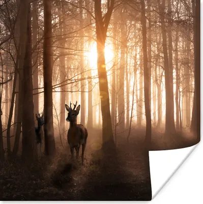 Produktbild von MuchoWow® Poster Wald - Hirsche - Sonne - Bäume - Winter - Natur - Tiere 100x100 cm - Babyzimmer