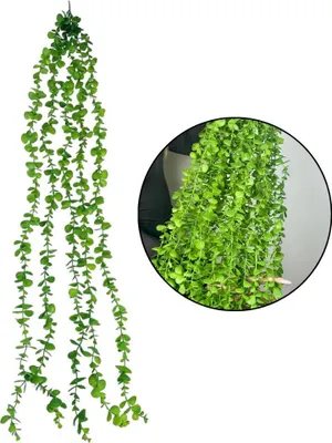 Obrázok produktu pre Eukalyptový veniec 120 cm umelý