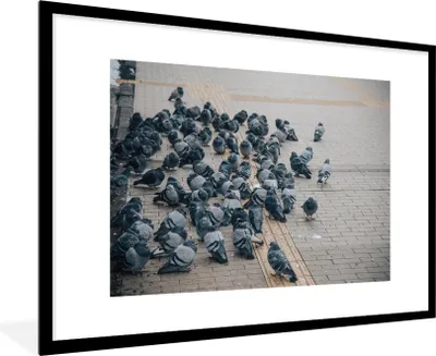 Produktbild von MuchoWow® Gerahmtes Poster Eine große Gruppe von Tauben auf der Straße 90x60 cm - Poster mit Schwarzem Bilderrahmen Wandposter Rahmen Foto Bilder - Wanddekoration - Fotos