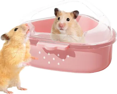 Produktbild von Hamster Sandbad Transparent Gro? Mit Deckel Fš¹r Reinigung