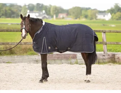 Obrázek produktu pro Harry's Horse Highliner, deka do stáje, 200 g, modrá, 185 cm. Barva: modrá, velikost: 185 cm