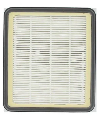Image de Filtre hepa pour aspirateur Hoover TopFilter