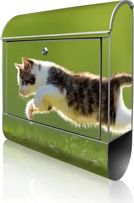 Produktbild von banjado Design Briefkasten Stahl silber mit Zeitungsfach pulverbeschichtet "Jagende Katze" 38x46x12,5cm & 2 Schlüssel - Postkasten A4 Einwurf inkl. Montagematerial [BK 10729]