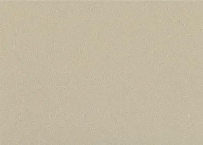 Produktbild von HEYDA 204772200 Prägekarton Milano 50 x 70 cm braungrau natur