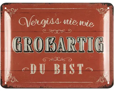 Produktbild von LANOLU Retro Blechschilder Sprüche lustig, vintage Metallschild als Geschenk Freundinnen, Farmhouse Deko, Shabby Chic Deko aus Metall, 15x20