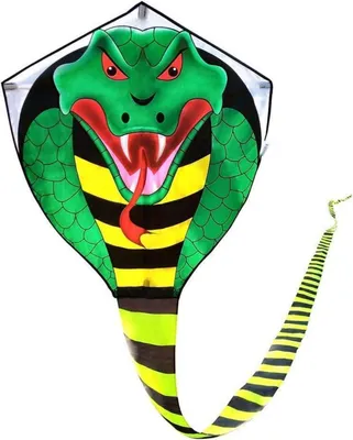 Obrázok produktu pre Veľký kobra drak s 49ft vlascom a cievkou