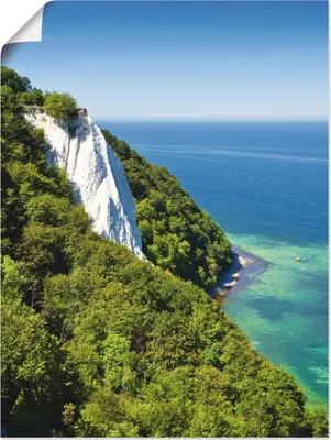 Produktbild von ARTland Poster Kreidefelsen Insel Rügen I Größe: 60x80 cm