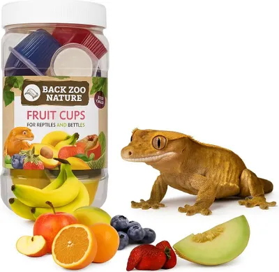 Immagine prodotto di Snack in gel fruttato per rettili - 24 pezzi, vari gusti