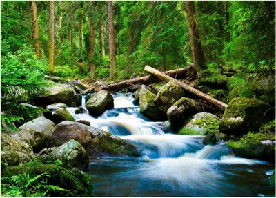 Produktbild von Fototapete Wasserfall 3D Effekt grün Wald Fluss Natur 400x280 cm - inkl. Kleister - für Wohnzimmer Schlafzimmer Flur Modern Vlies Tapete Vliestapete Wandtapete Motivtapeten UV-Beständig