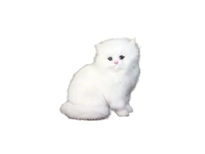Image de CutePets chat en peluche - blanc - chaton 1A
