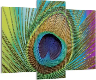 Produktbild von Bild auf Leinwand - Leinwandbild - 3 Teile - Pfauen Federn Regenbogen - 130x100cm - Wand Bild - Wanddeko - Wandbilder - Leinwanddruck - Bilder - Wanddekoration - Leinwand bilder - CB130x100-4385