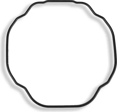 Produktbild von Casio Dichtungsring O-Ring schwarz PRG-50, SPF-70