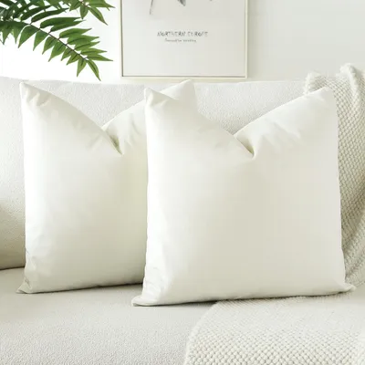 Image de Ensemble de 2 housses de coussin en velours doux, 60 x 60 cm