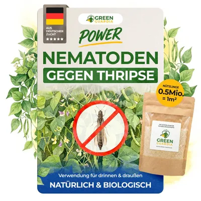 Produktbild von Green Guardia Nematoden gegen Thripse – 0.5 Mio. - Effektiv Thripse bekämpfen, Thripslarven bekämpfen, Mittel gegen Thripse, Thripse Zimmerpflanzen