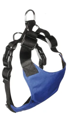 Image de Solidchoice - Harnais de sécurité pour chiens, avec tailles réglables, idéal pour la voiture
