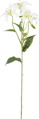 Produktbild von Mica Lilie creme aus Polyester 63 cm