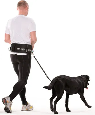 Immagine prodotto di D&D Guinzaglio per cani Sport Active Walker 110 cm Large Nero 313/415283