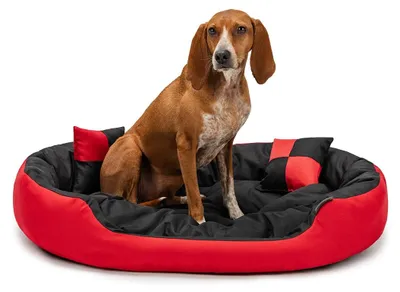 Produktbild von lionto Hundebett, stilvolles 4-in-1 Hundekörbchen, wasserabweisend, kratzfest & pflegeleicht, 85x70 cm, rot/schwarz