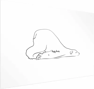 Produktbild von Posterpapier Poster - Lazy Bear 60x40 cm Tiere g-A-0170-ao-a