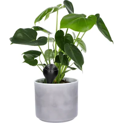 Produktbild von BROWIN - Bewässerungskugel / Blumenbewässerer / Pflanzenbewässerungsgerät