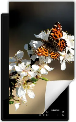 Produktbild von DarHaus Herdabdeckplatte 1 teilig 30x52 cm Anti Rutsch Matte Aufrollbar, Schmetterling - Blume