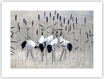 Produktbild von Poster - Poster ohne Rahmen - Vogel Natur Wasser - 40x30 cm - Wand Bild - Wanddeko - Wandbilder - Kunstposter - Wandposter - Bilder - Kunstdruck - Wanddekoration - Wandbild - P2XAA40x30-3687