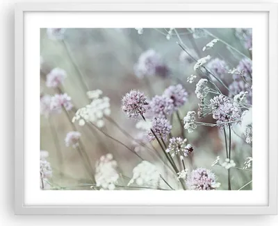 Produktbild von Gerahmtes Poster - Weißer Rahmen - Wiese Knoblauch Blume - 50x40 cm - Wand Bild - Wanddeko - Wandbilder - Kunstposter - Wandposter - Bilderrahmen - Bilder - Kunstdruck - Wandbild - P2WAA50x40-4177