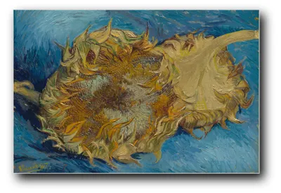 Immagine prodotto di Stampa artistica "Girasoli" di Vincent van Gogh – 20 x 30 cm – non incorniciata