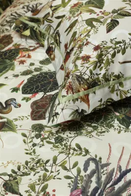 Produktbild von Beddinghouse Bettwäsche Menagerie_Ivory_DE_UV_155x220 155 x 220 cm + 1x 80 x 80 cm 1 Bettbezug, 1 Kissenbezug