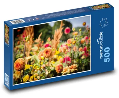 Zdjęcie produktu dla martinpuzzle - Puzzle 500 elementów - "Jiřiny"
