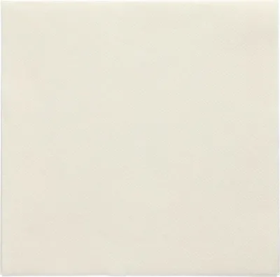 Immagine prodotto di Asciugamano PAPSTAR Collezione DAILY 89637 32x32cm champagner 150St