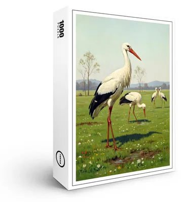 Image de Puzzle Raxxa Premium « Cigognes blanches dans la prairie », 1 000 pièces