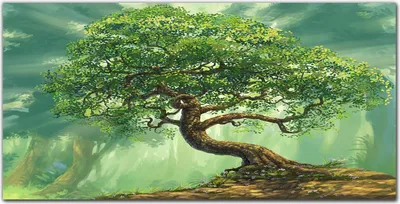 Produktbild von Coloray Bild aus Acryl 100 cm x 50 cm - Wohnzimmer Acrylblock mit Bild Wanddekoration Gehärtetes Acryl Dekoration Küche - Fantasie Natur Liste