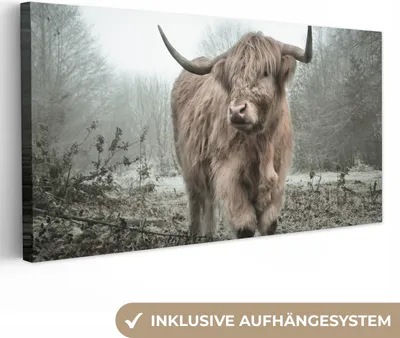 Produktbild von MuchoWow® - Leinwandbilder - Schottische Highlander - Natur - Herbst - Tiere - Wildtiere - Wald, Wandbild, Wanddeko Bilder Wohnzimmer, 80x40 cm