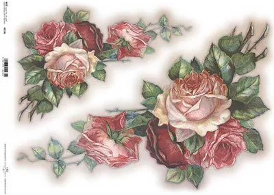 Produktbild von ITD Reispapier Decoupage Bastelpapier, A3 822L, Rosen
