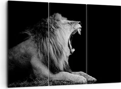 Produktbild von Bild auf Leinwand - Leinwandbild - 3 Teile - Löwe Gähnen Schwarz und Weiß - 105x70cm - Wand Bild - Wanddeko - Wandbilder - Leinwanddruck - Bilder - Wanddekoration - Leinwand bilder - CE105x70-4252