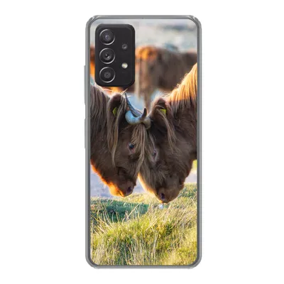 Produktbild von MuchoWow® Handyhülle Schutzhülle Hülle für Samsung Galaxy A53 5G Schottische Highlander - Tiere - Sonne Silikon Softcase Handy Hülle - Schutzabdeckung