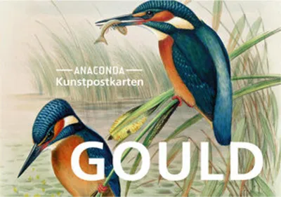 Obrázek produktu pro Postkarten-Set John Gould