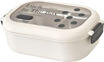 Image de 2 Compartiments Bento Box Heat Preservation Stainless Steel Interlayer Lunch Box Airtight Portable Food Storage Containers for School Office Dot