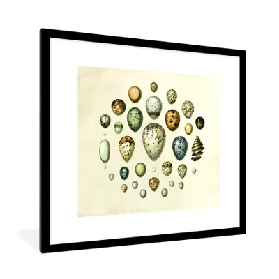 Produktbild von MuchoWow® Gerahmtes Poster Ei - Tiere - Gestaltung 40x40 cm - Poster mit Schwarzem Bilderrahmen Wandposter Rahmen Foto Bilder - Poster - Plakat im Rahmen