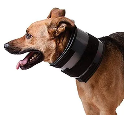 Image de Collier pour chiens kvp noir (6-28 cm)