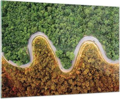 Produktbild von Bilder auf glas - Einteilig - Luftaufnahmen Weg Wald - 100x70cm - Glasbilder - Wandbilder - Bilder - zum Aufhängen bereit - Wanddekoration aus Glas - Glas Bilder - Wandbild auf Glas - GAA100x70-4659