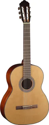 Obrázok produktu pre Cort AC-200
