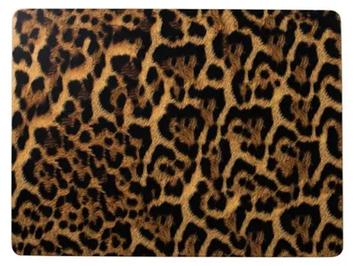 Imagen del producto de Juego de 4 individuales para mesa, diseño de leopardo, corcho, 40x29 cm, marca Hakbijl