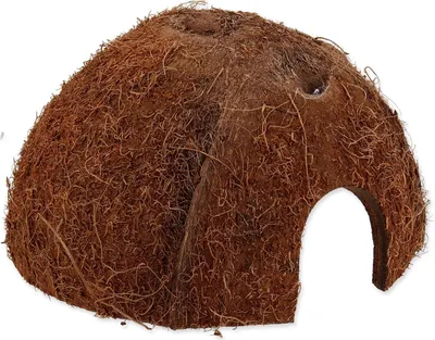 Zdjęcie produktu dla REPTI PLANET kokos M 9x7x9cm kryjówka dla gadów do terrarium